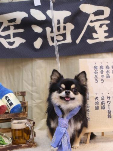 20240614ボスくん